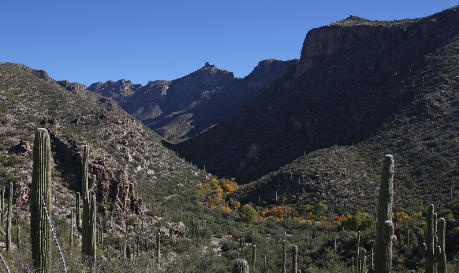 Hiking Sabino